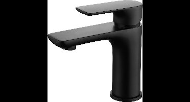 Sanifun wastafelmengkraan Nero 9