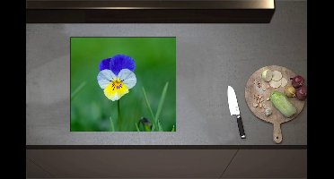Inductieplaat Beschermer - Blauw met Gele Tuinviool in Grasveld - Bloemen - 57x51 cm - 2 mm Dik - Inductie Beschermer - Bescherming Inductiekookplaat - Kookplaat Beschermer van Wit Vinyl