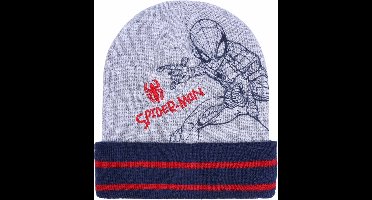 Grijze en marine jongens pet Spider-Man MARVEL
