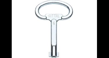 Rittal SZ 2531.000 Schakelkast sleutel Dubbele baard Staal Zwart 1 stuk(s)