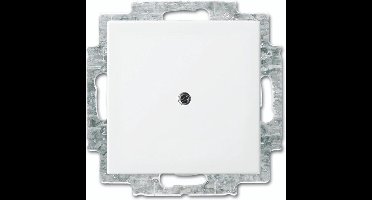 ABB Busch-Jaeger Balance SI Schakelelement/Centrale Plaat - 2CKA001715A0319 - E377Z