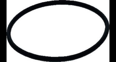 Nefit/Bosch TrendLine afdichtring condensbak