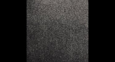 Vloerkleed Xilento Soft Basalt | 200 x 300 cm