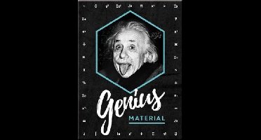 Einstein Genius Material. Koelkastmagneet 8 cm x 6 cm.