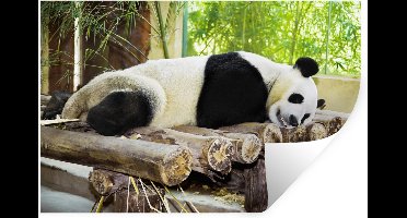Muurstickers - Sticker Folie - Panda - Bamboe - Slapen - Balken - 30x20 cm - Plakfolie - Muurstickers Kinderkamer - Zelfklevend Behang - Zelfklevend behangpapier - Stickerfolie