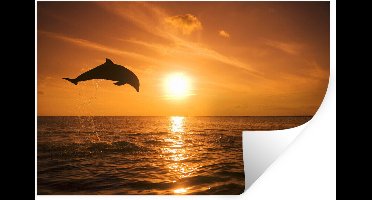 Muurstickers - Sticker Folie - Dolfijn - Zon - Zee - 30x20 cm - Plakfolie - Muurstickers Kinderkamer - Zelfklevend Behang - Zelfklevend behangpapier - Stickerfolie
