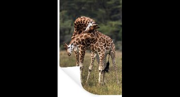 Muurstickers - Sticker Folie - Twee giraffen met verstrengelde nekken - 20x30 cm - Plakfolie - Muurstickers Kinderkamer - Zelfklevend Behang - Zelfklevend behangpapier - Stickerfolie