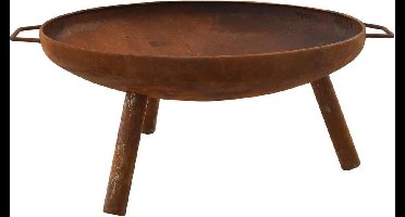 vidaXL - Vuurplaats - 67,5x58x22,5 - cm - staal