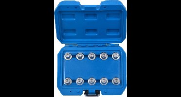 VW wielbouten en wielmoeren demontage set met gat - velgenmoer 10 dlg