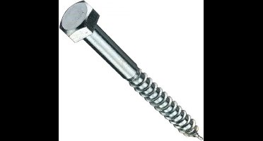 Houtbout verzinkt M10x 60 (100st)