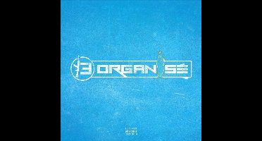 Various Artists - 13 Organisé (CD)