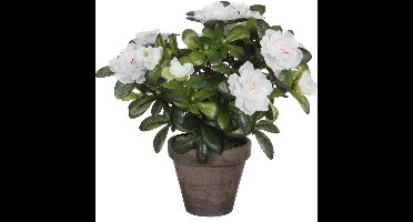 Mica Decorations Kunstplant - Azalea - groen/wit - 27 cm - Met mooie bloemen