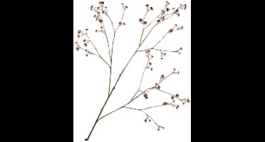 Vergeetmeniet tak paars 132 cm