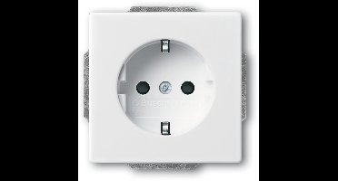 ABB Busch-Jaeger Future/Solo Wandcontactdoos (WCD-Schakelmateriaal) - 2CKA002013A5245 - E2EY7