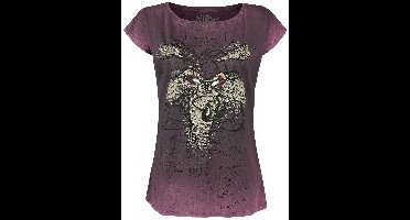 Looney Tunes Wile E. Coyote - Genius Dames T-shirt - paars - XS