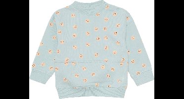 4PRESIDENT Sweater jongens - Light Blue - Maat 50 - Jongens trui