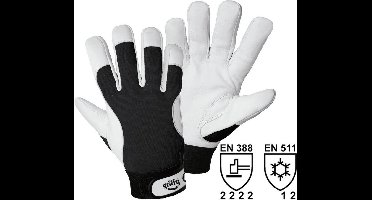 Leipold Doehle 1707-8 Montagehandschoen Nappaleer Maat (handschoen): 8, M EN 397 Cat II 1 paar