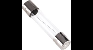 Mini glaszekering 2A - 100 stuks