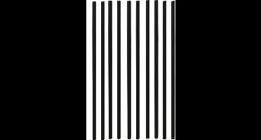 Excellent Houseware Drinkrietjes - herbruikbaar - vaatwasserbestendig - 100 ST - zwart - 22 cm