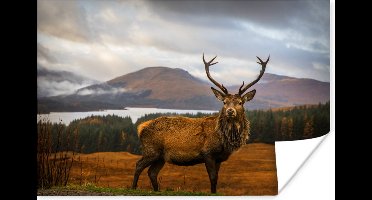 Poster Hert - Berg - Water - Landschap - Dieren - Bomen - 30x20 cm