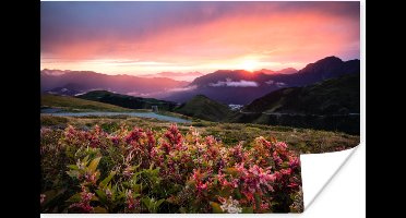 Poster Bloemen - Bergen - Landschap - Nacht - Lucht - Roze - 30x20 cm