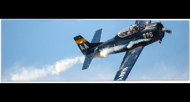 WallClassics - Vlag - Minnie Blauw Vliegtuig in de Lucht - 60x20 cm Foto op Polyester Vlag