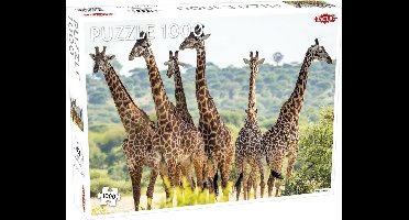 Puzzel Animals: Tall Giraffes - 1000 stukjes