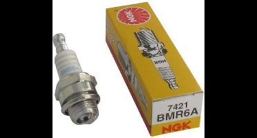 TUIN PRATISCHE bougie voor trimmer NGK BMR6A