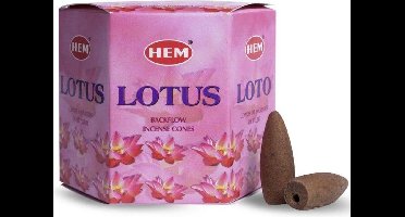 HEM Backflow kegels Lotus