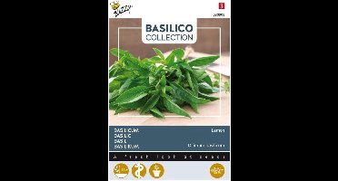 Basilico Limone