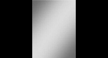 Wiesbaden Spiegels 5Mm Rechthoek 60x40