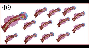 12x Wanddeco een dochter 58x27cm