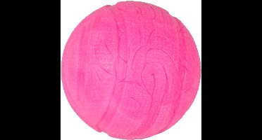 Flamingo Hondenspeelgoed Geurbal Framboos - Roze - 7 cm