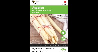 Buzzy - Asperge Argenteuil