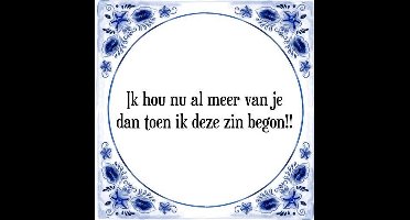Tegeltje met Spreuk (Tegeltjeswijsheid): Ik hou nu al meer van je dan toen ik deze zin begon!! + Kado verpakking & Plakhanger