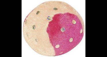 Kerbl Ballen met Pailetten 2 Stuks