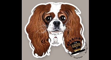 Magneet Hond Cavalier King Charles Spaniel