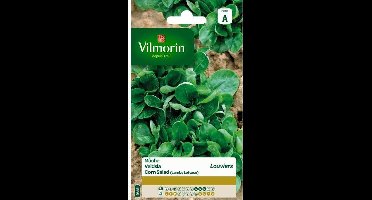 Veldsla Groene van Louviers