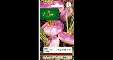 Keukenraap Rode Platte Vroege