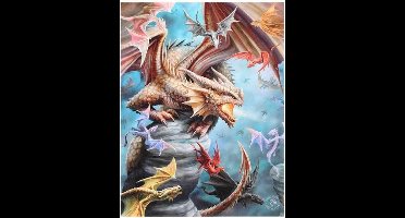 Something Different Canvas afbeelding Dragon Clan 19x25 Multicolours