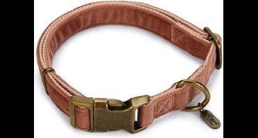 Designed by Lotte Velura - Hondenhalsband - Roze - 35-50 x 20 cm