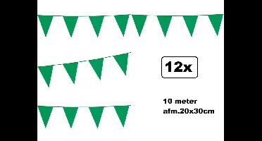 12x Vlaggenlijn groen 10 meter - vlaglijn festival feest party verjaardag thema feest kleur