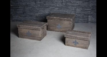PTMD 6 delig decoratiekist Baltic Grey