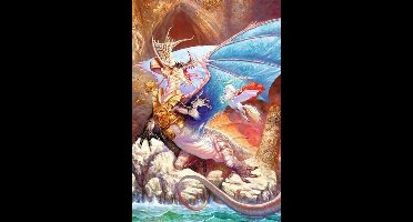 Schmidt Puzzel - Drakeneiland