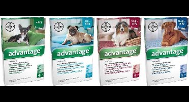 Advantage 400 - Hond - 25 tot 40 kg - 4 pipetten x 4 ml