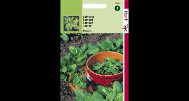Hortitops Zaden - Spinazie Securo Wolfresistent A+B 15 gram