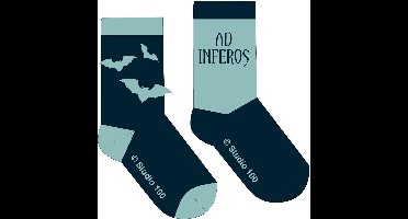 Nachtwacht Sokken licht blauw - 2 stuks 27/30