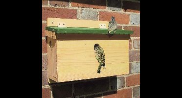 Vogelhuisje Mussen Groen Dak
