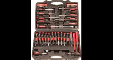 Topgear Schroevendraaier & Bitset (49 Delig)