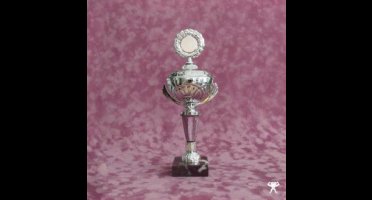 Crash of the Web Era